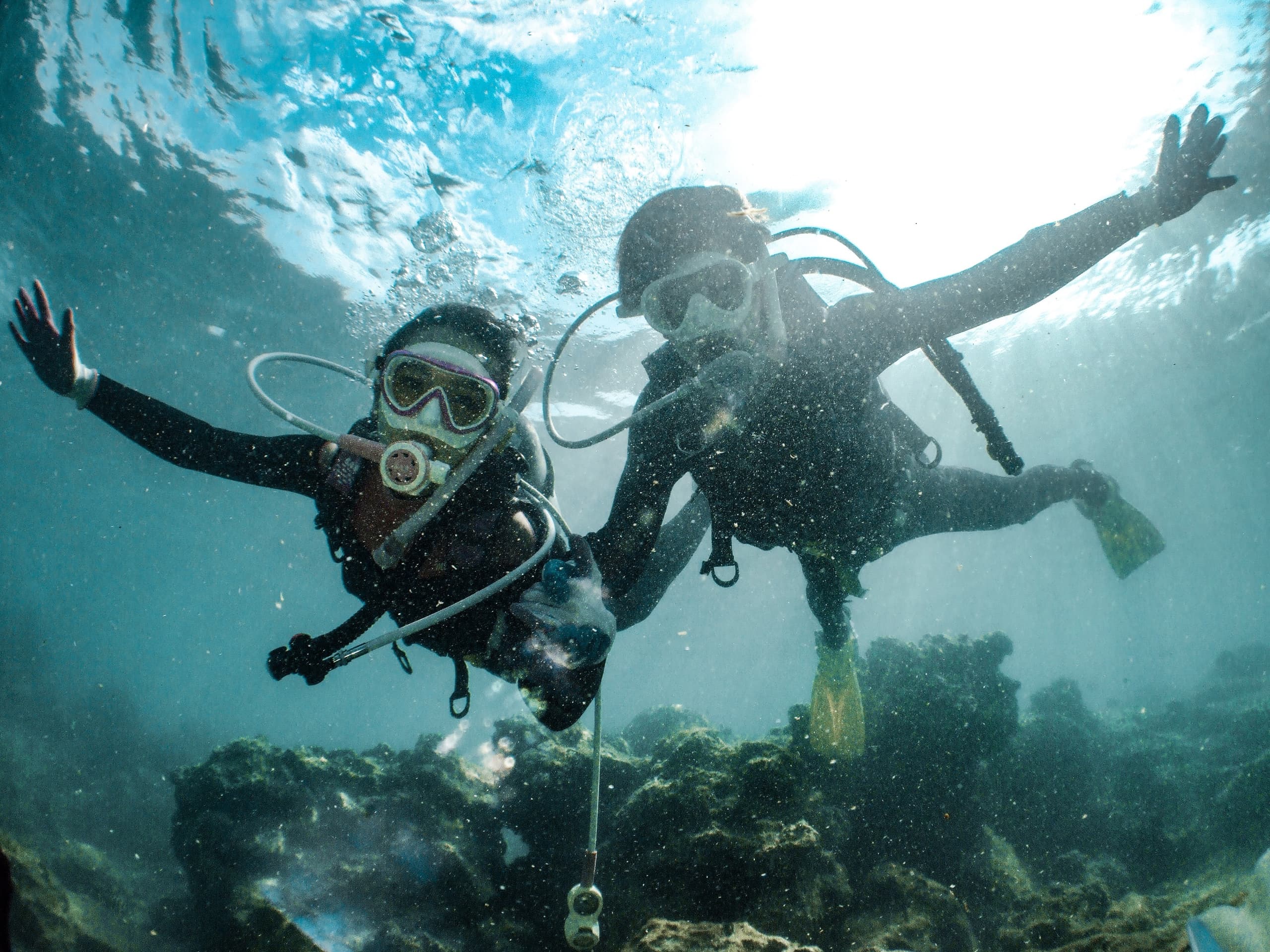 underwater-shot-of-two-people-diving-2022-03-07-22-43-05-utc.jpg